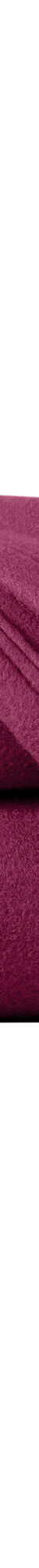 Couverture polaire Thermotec® 350 g/m² (prune) Couverture polaire Thermotec® 350 g/m² (prune)